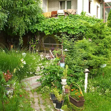 Mini Apartman Apartment *