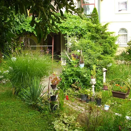 Mini Apartman Apartment *